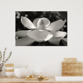 Magnolia 1, 2009 poster (Keuken)