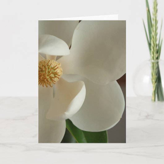 magnolia 2 kaart (Voorkant)