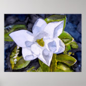 magnolia 2 poster (Voorkant)