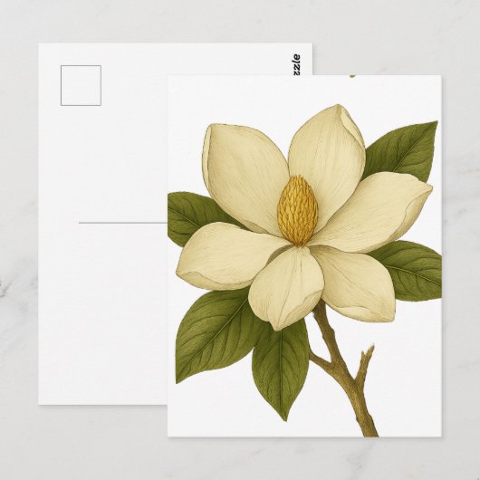 Magnolia — Adel Briefkaart (Voorkant / Achterkant)