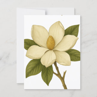 Magnolia — Adel Briefkaart