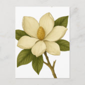 Magnolia — Adel Briefkaart (Voorkant)