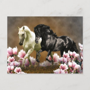 Magnolia Alley - Briefkaart