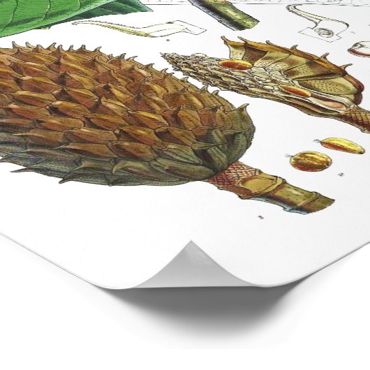 Magnolia Art print #1 Botanische Wall Art (Hoek)