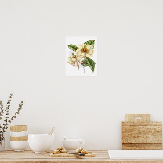  Magnolia Art print #4 Botanische Wall Art (Keuken)