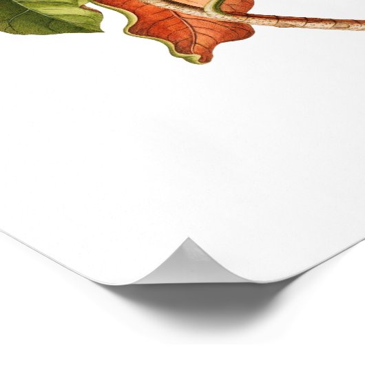  Magnolia Art print #5 Botanische Wall Art (Hoek)