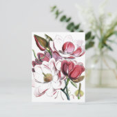 Magnolia Asian Flower  Old Illustration Briefkaart (Staand voorkant)