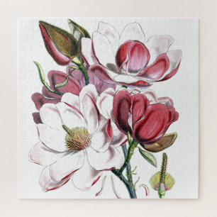 Magnolia Asian Flower  Old Illustration Legpuzzel