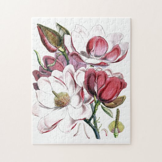 Magnolia Asian Flower Old Illustration Legpuzzel (Verticaal)