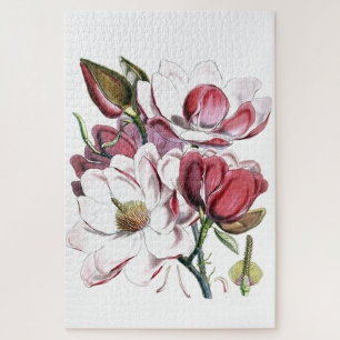 Magnolia Asian Flower  Old Illustration Legpuzzel