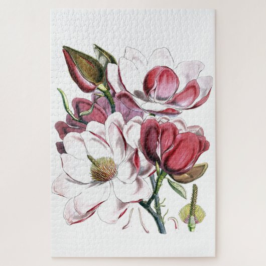 Magnolia Asian Flower Old Illustration Legpuzzel (Verticaal)