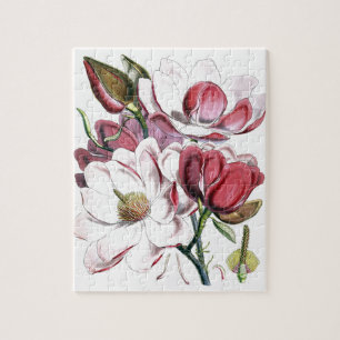 Magnolia Asian Flower  Old Illustration Legpuzzel