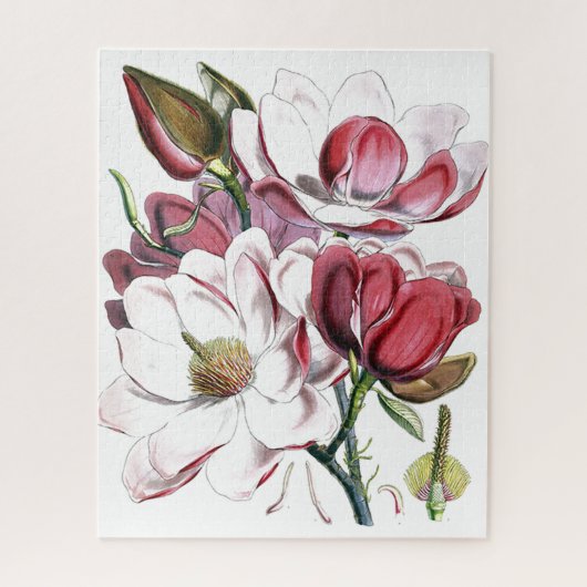 Magnolia Asian Flower Old Illustration Legpuzzel (Verticaal)