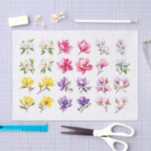 Magnolia Assortiment Decoupage Papier (Craft)