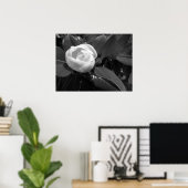 Magnolia Bloei in Zwart en Wit Poster (Thuiskantoor)