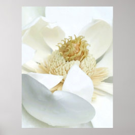 Magnolia Bloei Poster