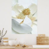 Magnolia Bloei                        Poster (Keuken)
