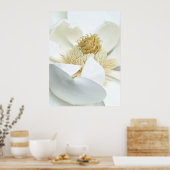 Magnolia Bloei                           Poster (Keuken)