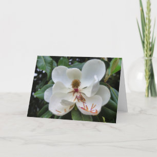 Magnolia bloem blanco kaart