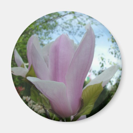 magnolia bloem magneet (Voorkant)
