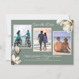 Magnolia Bloemen Drie Foto Huwelijk Opslag de Datu Save The Date