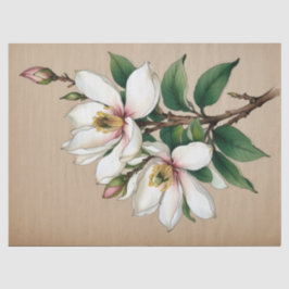 Magnolia Bloemen Tissuepapier