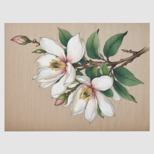 Magnolia Bloemen Tissuepapier (Voorkant)