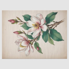 Magnolia Bloemen Tissuepapier