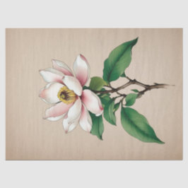 Magnolia Bloemen Tissuepapier