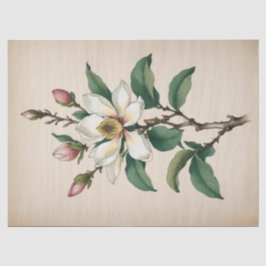 Magnolia Bloemen Tissuepapier