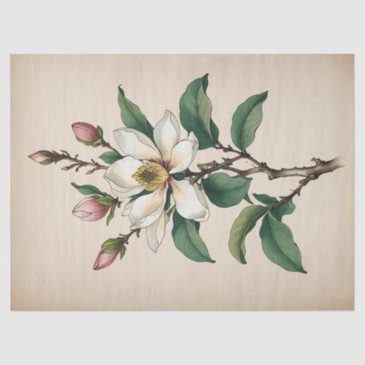 Magnolia Bloemen Tissuepapier (Voorkant)