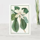 Magnolia, bloemillustratie, kaart (Voorkant)