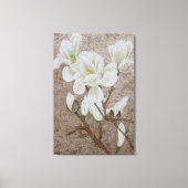 Magnolia Bloesem Canvas Afdruk (Voorkant)