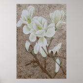 Magnolia Bloesem Poster (Voorkant)