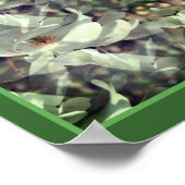 Magnolia bloesems Abstract Poster (Hoek)