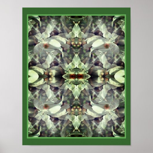 Magnolia bloesems Abstract Poster (Voorkant)