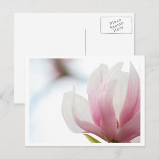 Magnolia Bloom Briefkaart (Voorkant / Achterkant)