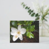 Magnolia Bloom Briefkaart (Staand voorkant)