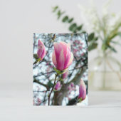 Magnolia Bloom en Buds Briefkaart (Staand voorkant)