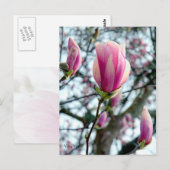 Magnolia Bloom en Buds Briefkaart (Voorkant / Achterkant)
