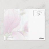 Magnolia Bloom en Buds Briefkaart (Achterkant)