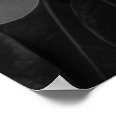 Magnolia Bloom in zwart-wit Poster (Hoek)