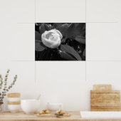 Magnolia Bloom in zwart-wit Poster (Keuken)