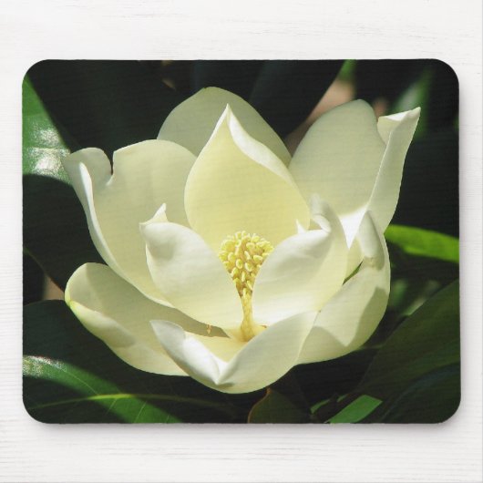 Magnolia Bloom Muismat (Voorkant)