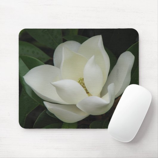 Magnolia Bloom Muismat (Met muis)