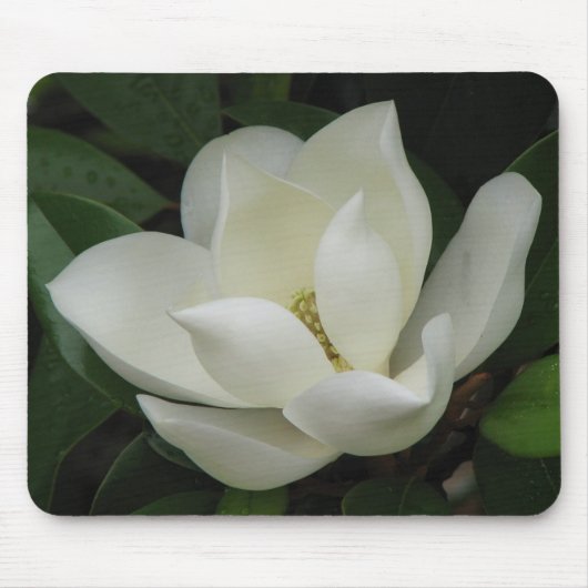 Magnolia Bloom Muismat (Voorkant)