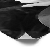 Magnolia Bloom Poster (Hoek)