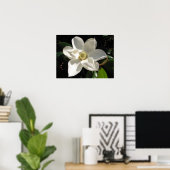 Magnolia Bloom Poster (Thuiskantoor)