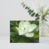 Magnolia Bloom Savannah Georgia Briefkaart (Staand voorkant)