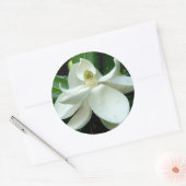 Magnolia Bloom Sticker (Envelop)